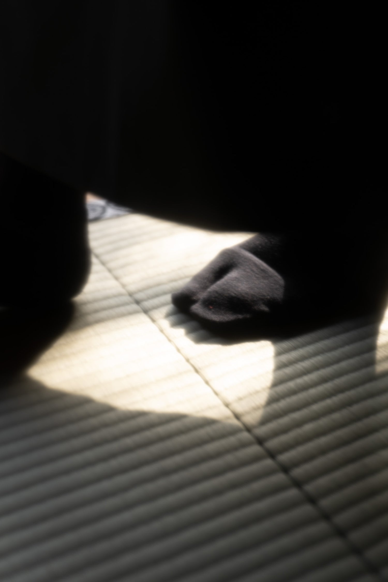 JIKU MESSAGE SOCKS (EN) | MINOTAUR INST. x 両足院