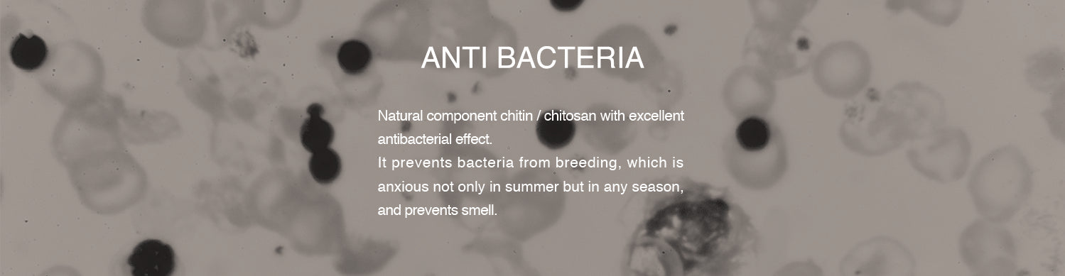 ANTI BACTERIA