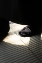 Load image into Gallery viewer, JIKU MESSAGE SOCKS (EN)【MINOTAUR INST. x 両足院】